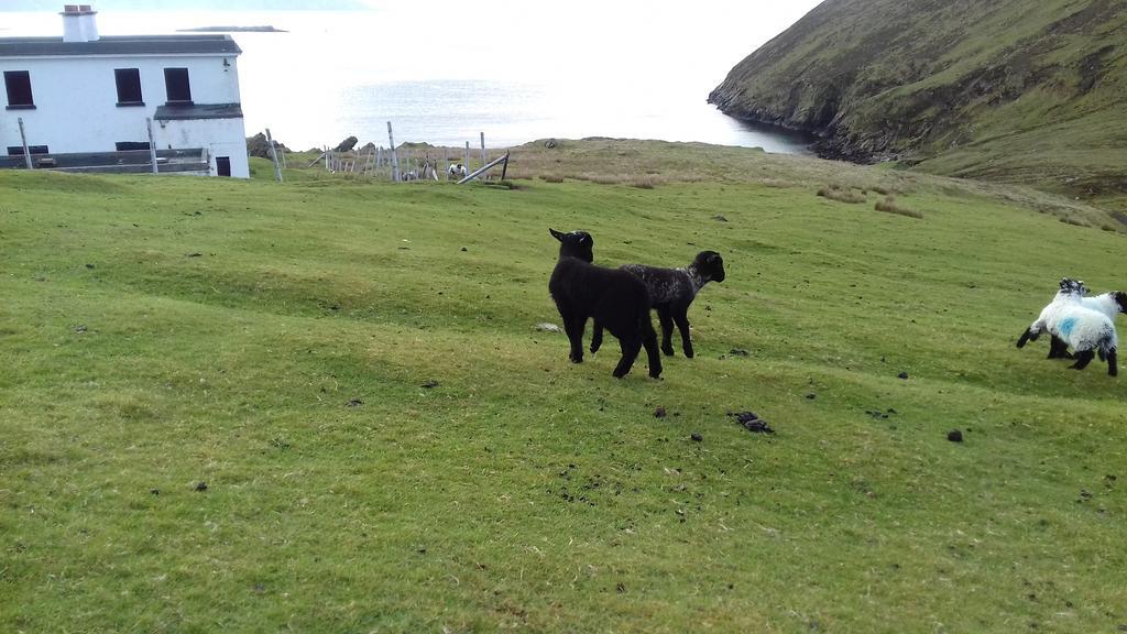 Achill West Coast House Bed & Breakfast Dooagh Exterior photo